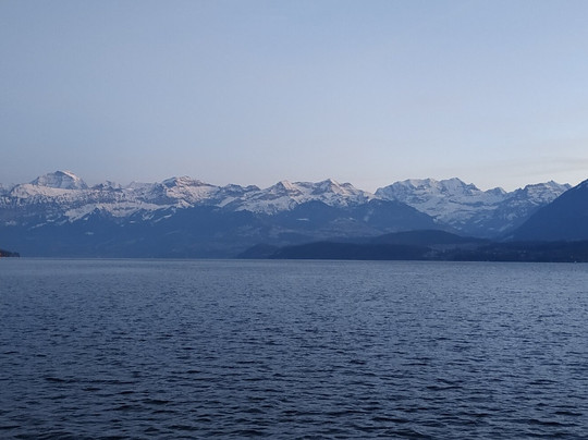 Schadau Park-图恩必去景点