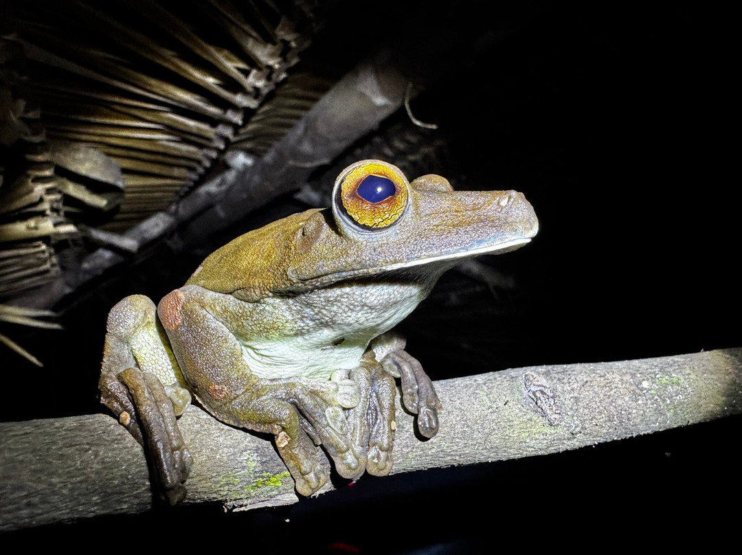 Huayruro Tour Lagunas-Yurimaguas必去景点