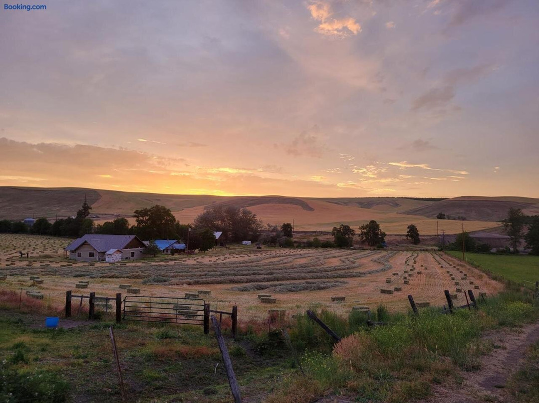 8 Mile Farm B&B