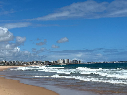 Jardim de Ala Beach-萨尔瓦多必去景点