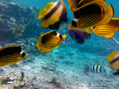 Travely Egypt Tours-马萨阿拉姆必去景点