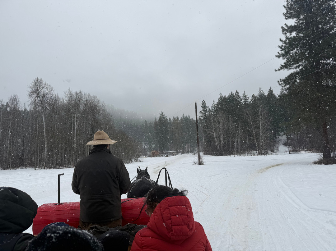 Leavenworth Sleigh Rides-莱文沃思必去景点