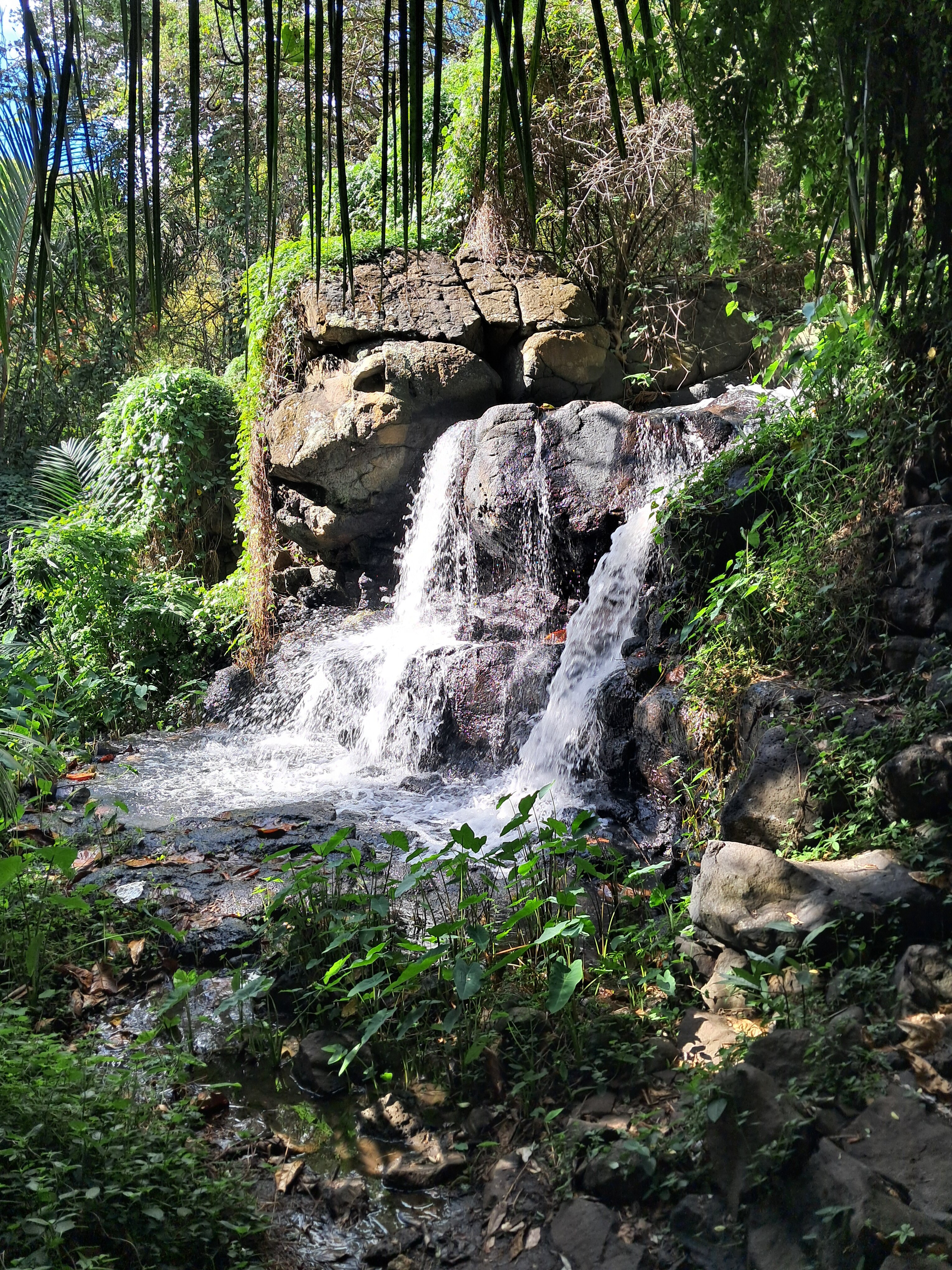 玛丽蒂姆毛里求斯水疗度假酒店-官方