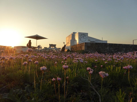 Laneez-St. Ouen必去景点