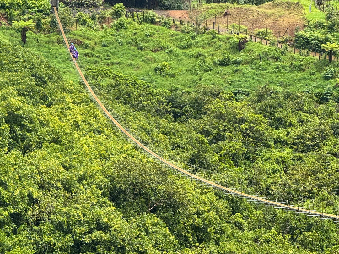 Vallé Advenature Park-Chamouny必去景点