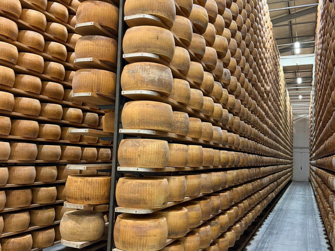 Caseificio Bio Reggiani-Recovato必去景点