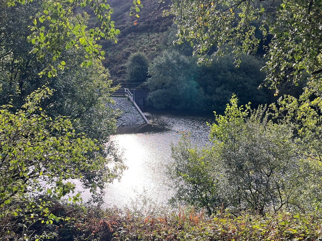 The Long Mynd-Church Stretton必去景点