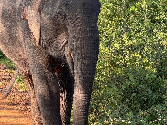 Freedom Safari Jeep Tours-蒂瑟默哈拉默必去景点