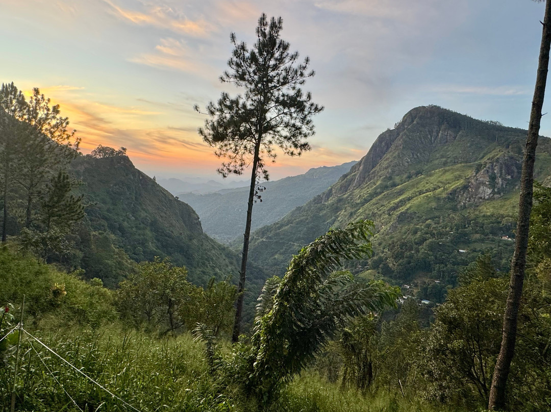 C-Lanka Tours & Travels-科伦坡必去景点