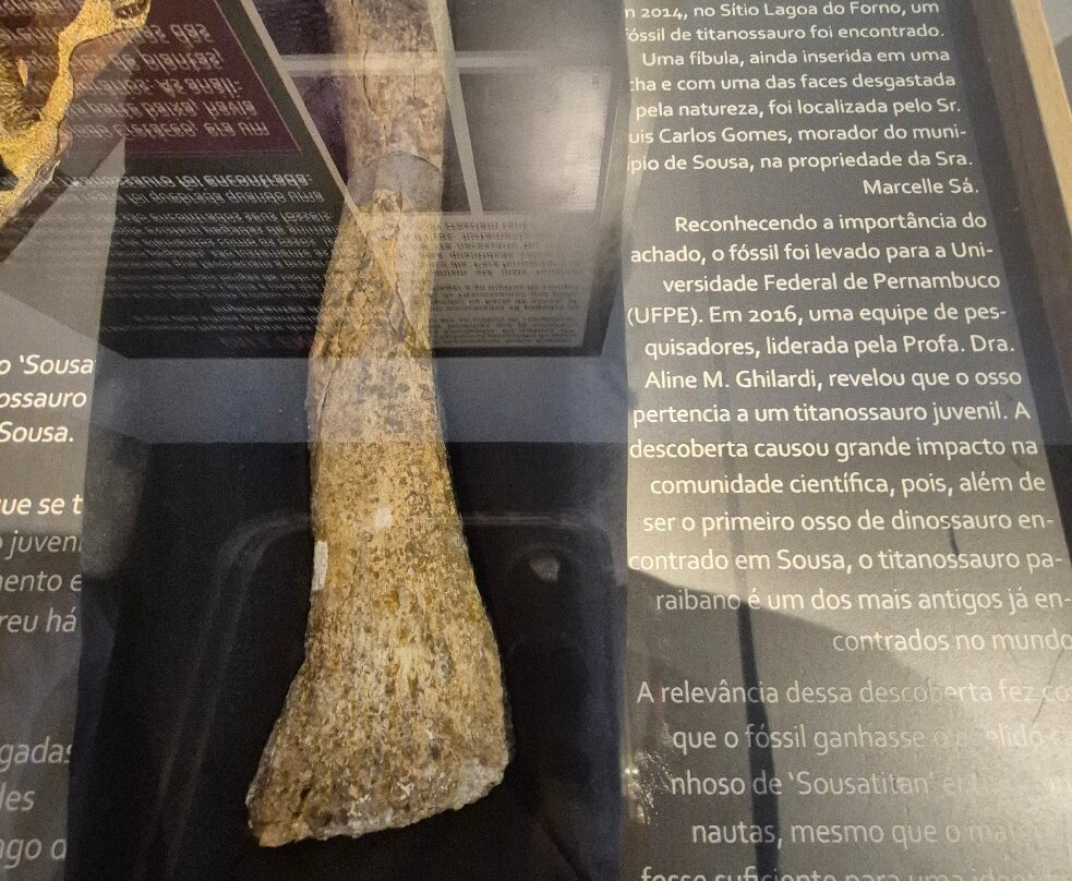 Valley of the Dinosaurs-Sousa必去景点