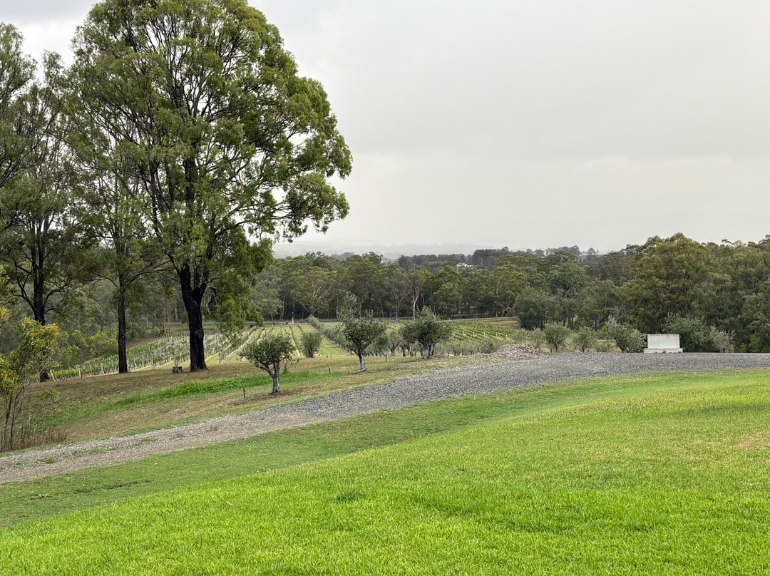 Lillinos Bar Trattoria