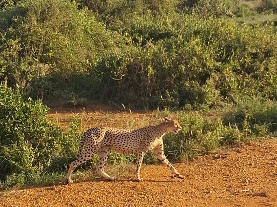 Biggym-瓦塔木必去景点