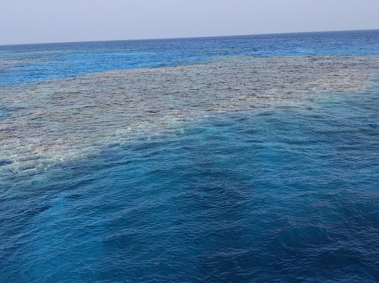 Redseahorse Diving Hurghada-Hurghada 1必去景点