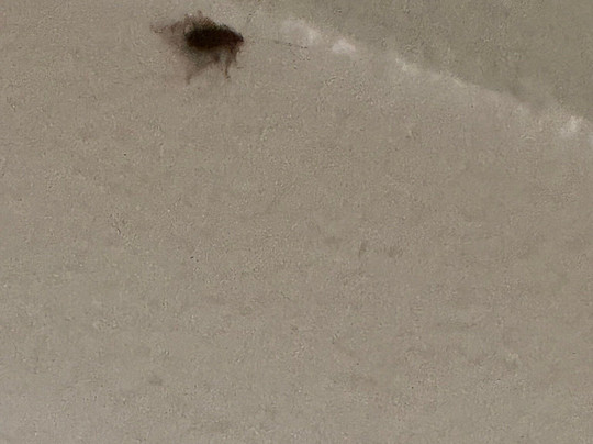 Motel 6 Marysville主图