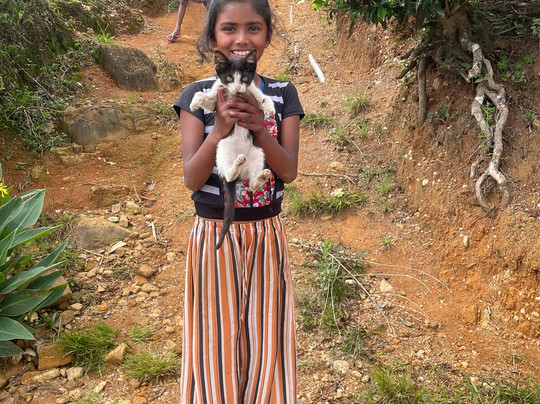 Alvar Tours-卡图纳耶克必去景点