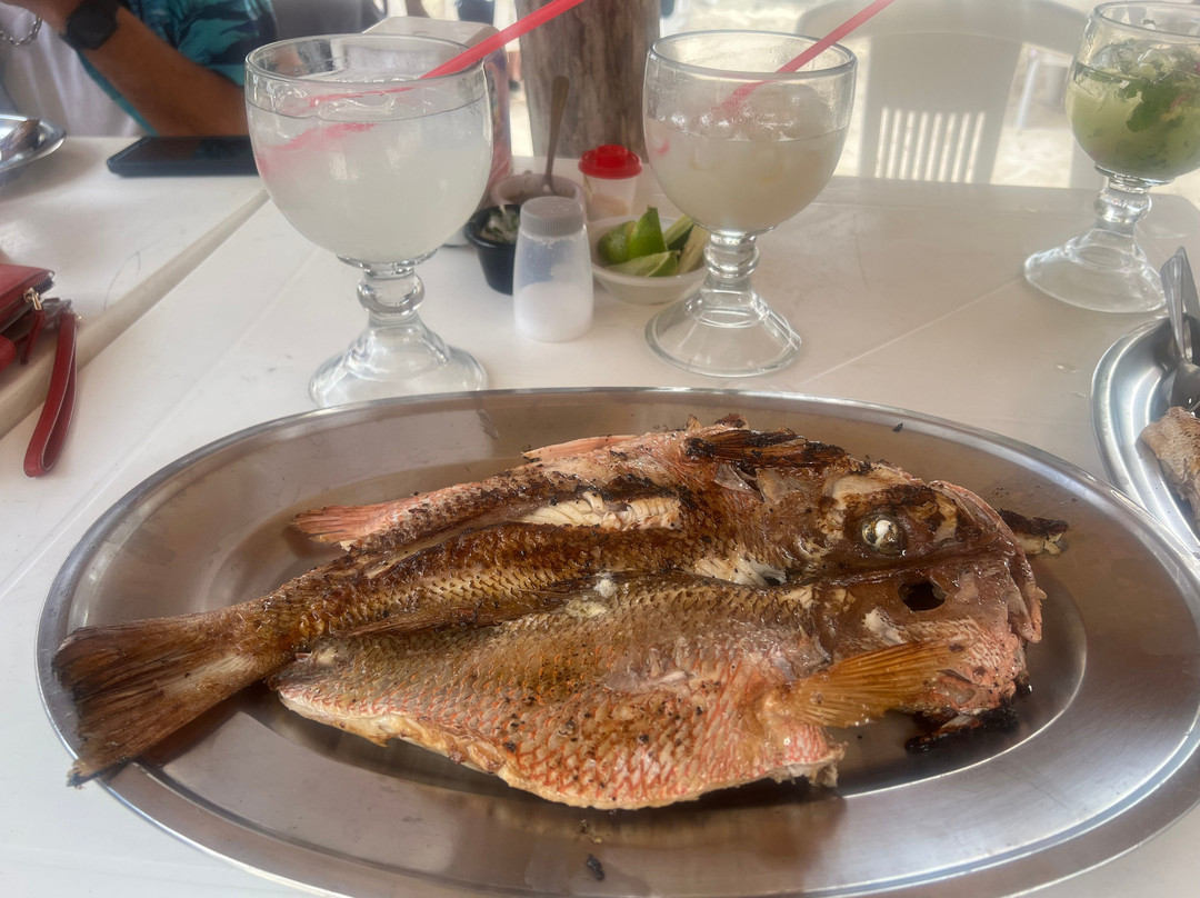 Visit to Cozumel-San Miguel de Cozumel必去景点