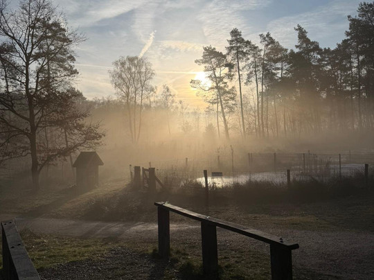 B&B De Mansarde主图