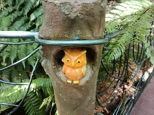 泰拉魔幻公园-卡内拉必去景点