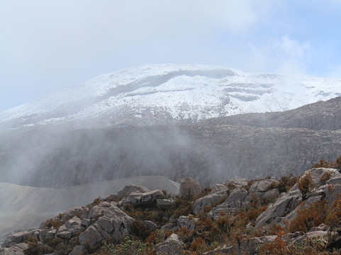 LAND SHARK TRAVEL-佩雷拉必去景点
