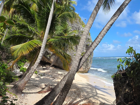 OlympiaOnBoard-Las Galeras必去景点