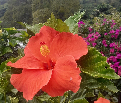 Cafe San Alberto-布埃纳维斯塔必去景点