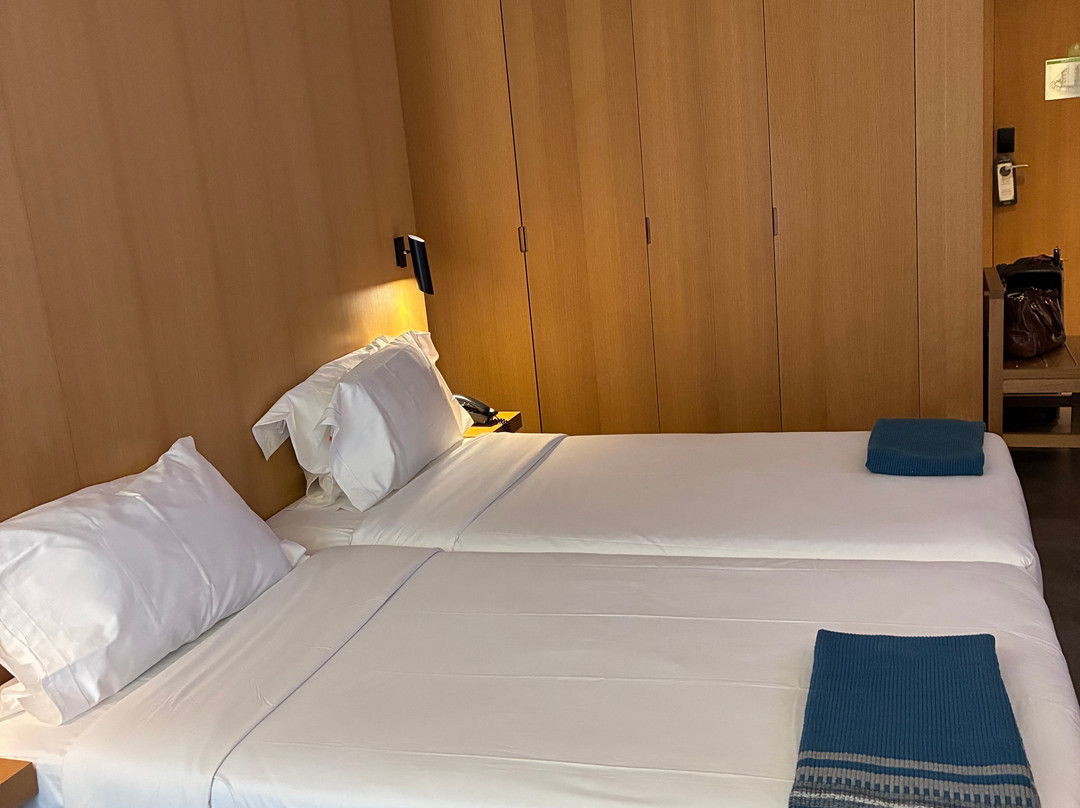 埃武拉橄榄酒店主图