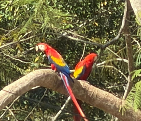 Alejandro Chaves Viquez Tour Guide-圣何塞必去景点