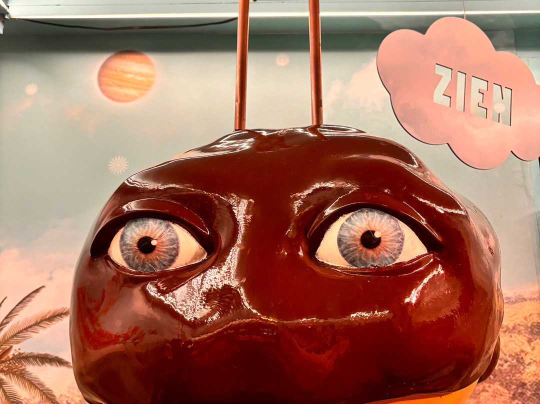 Bossche Bollen Belevenis-斯海尔托亨博斯必去景点