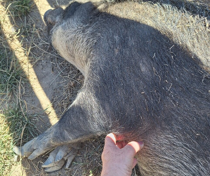 Edgar's Mission-Lancefield必去景点