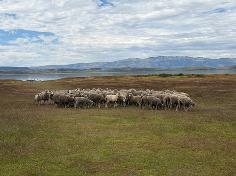 Quasar Expeditions - Patagonia Luxury Tours & Travel-Torres del Paine必去景点