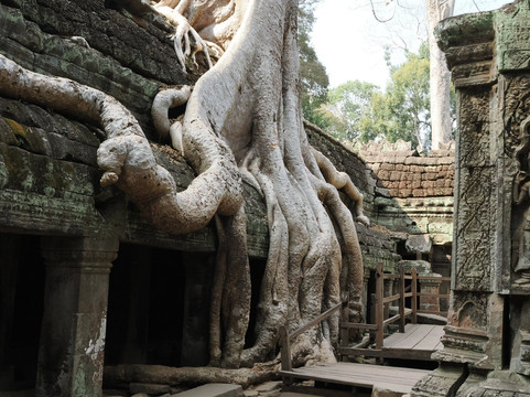 Global Travel And Tours Asia-金边必去景点