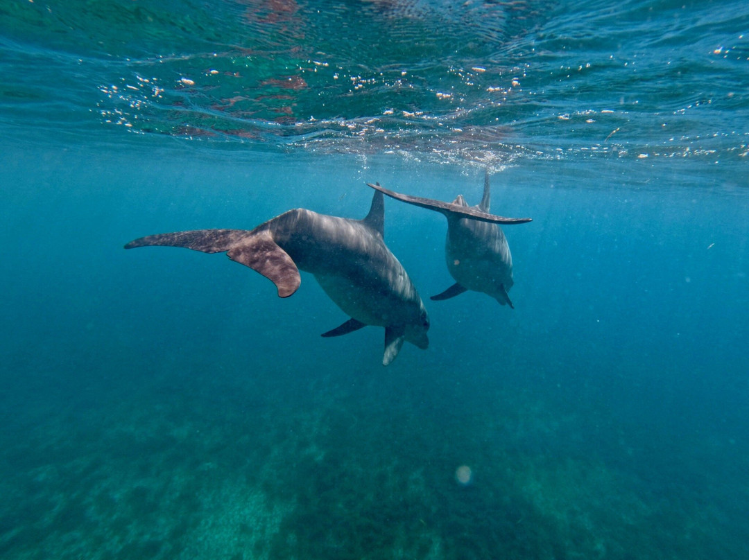 Big Beard's Adventure Tours-Christiansted必去景点