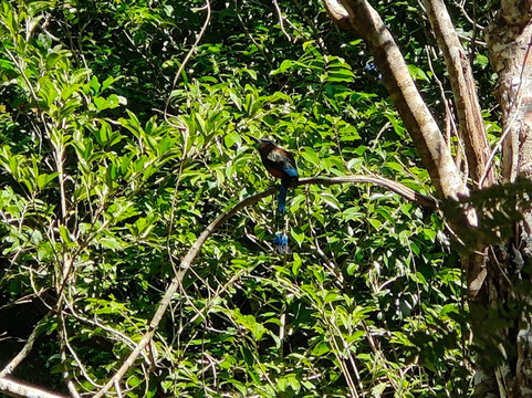 Sukun Rivera Maya Tours-图伦必去景点