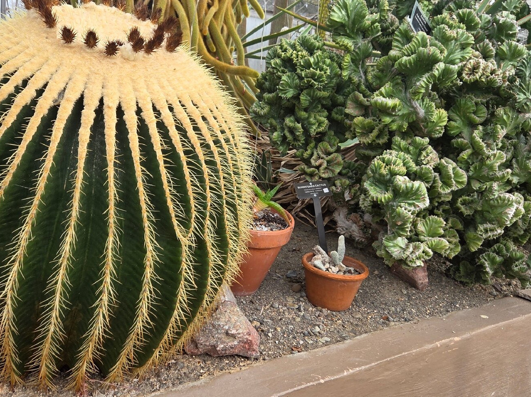 Buffalo and Erie County Botanical Gardens-水牛城必去景点