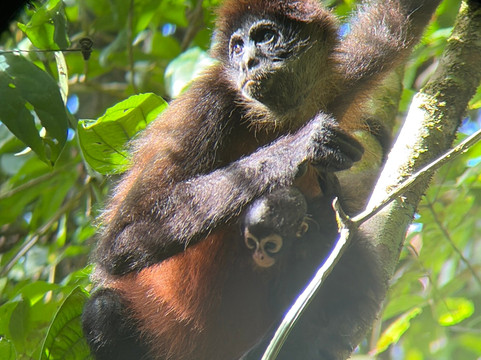 Costa Rica Wild Expeditions-希门尼斯港必去景点