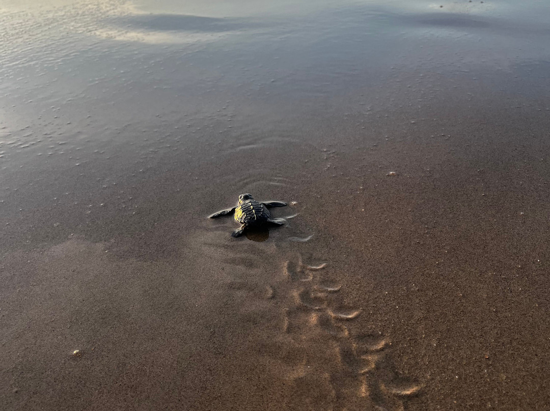 Casa De Los Amigos主图