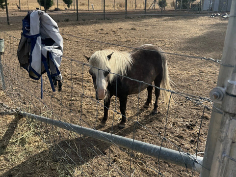 山景农家乐主图