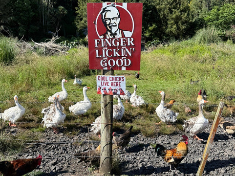 Awakeri Rail Adventures-法卡塔尼必去景点