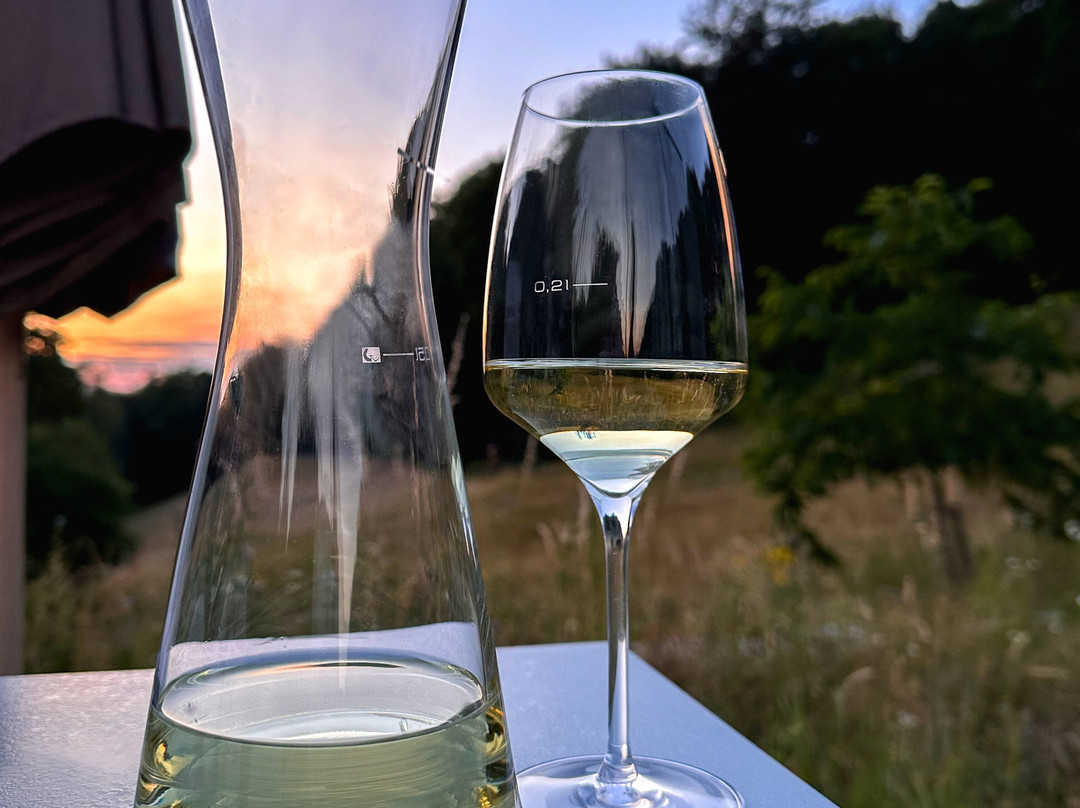 赫比森林酒店主图