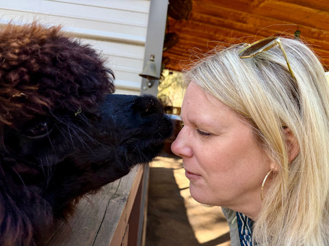 Shady Rest Alpacas-杰克逊维尔必去景点