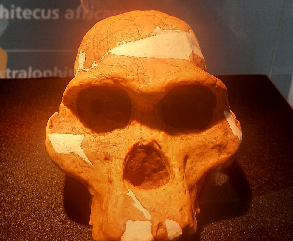 Mae - Museo Archeologico Ernico-Anagni必去景点