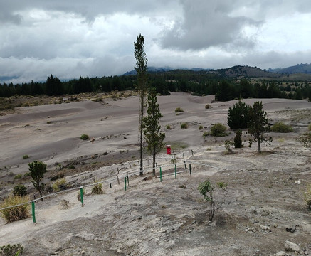 Desierto De Palmira-Chimborazo Province必去景点