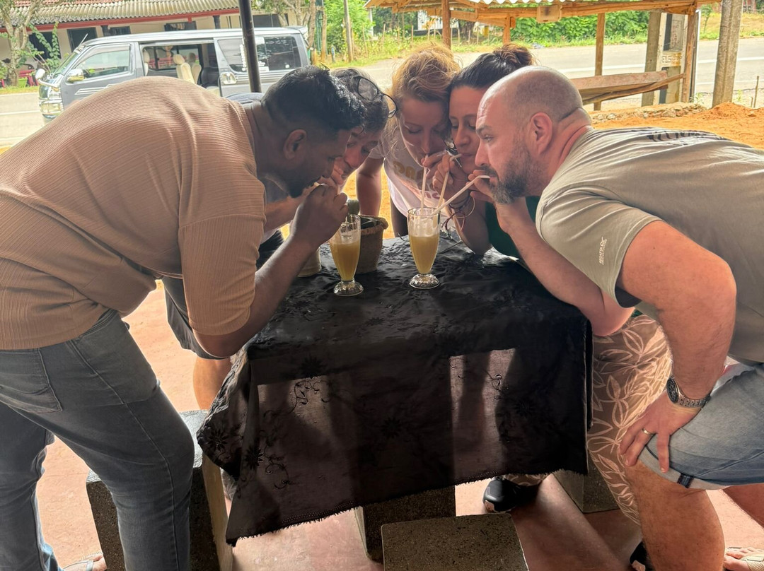 Lankan Dream Tours-Hambantota必去景点