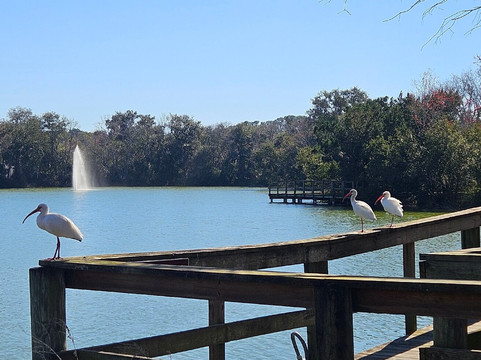 Central Park-奥蒙德海滩必去景点
