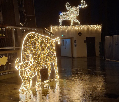 Beyond the Trees Avondale-Rathdrum必去景点