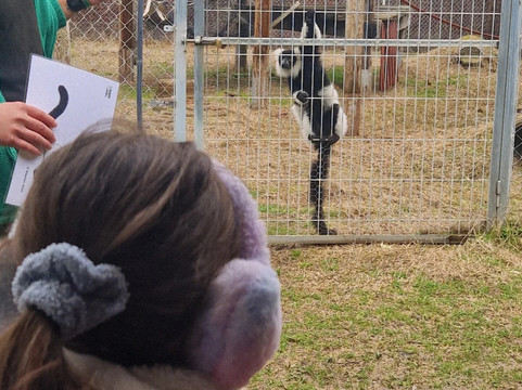 Centro De Rescate Y Recuperación De Primates Rainfer-Fuente El Saz De Jarama必去景点