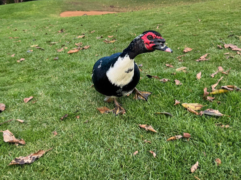 Fuerteventura Golf Club-Caleta de Fuste必去景点