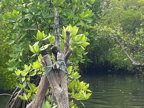 Sri Lanka Holidays Our Way-克拉必去景点