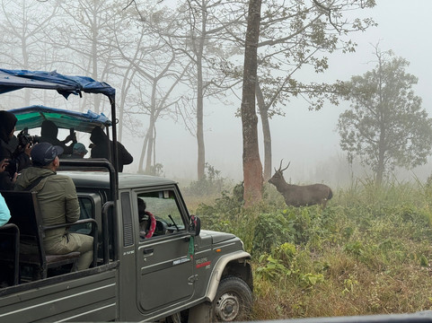 Sauraha Chitwan Nepal-苏拉哈必去景点