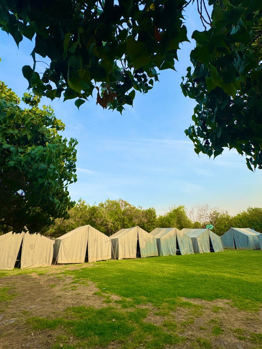 梦想世界高尔夫课程度假村-官方